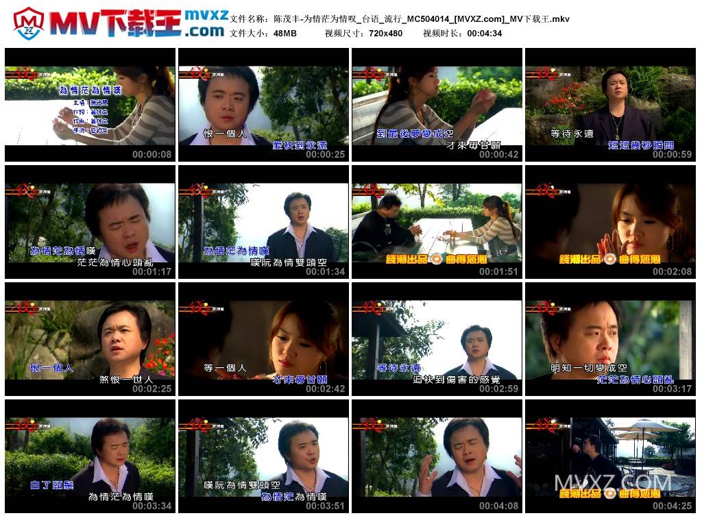 陈茂丰-为情茫为情叹_台语_流行_MC504014